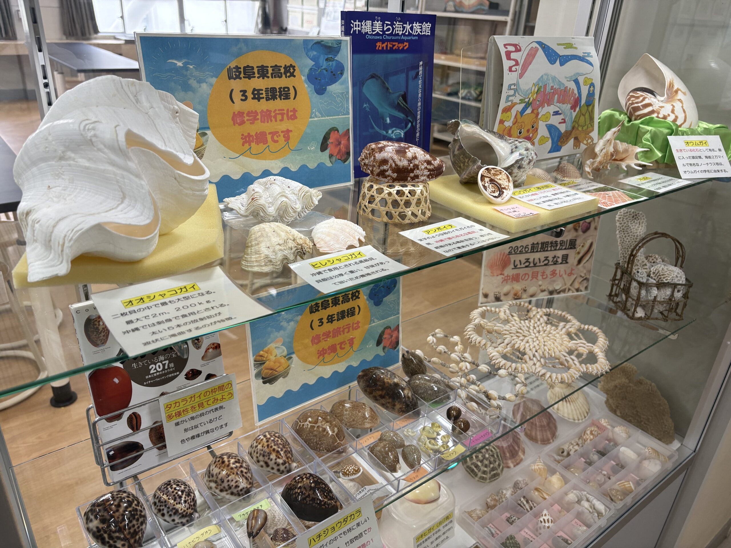 ☆リニューアル☆サイエンスミュージアム